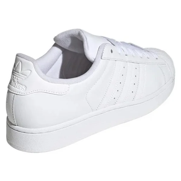 Adidas Superstar Iı Jı0080 Beyaz Spor Ayakkabı - Görsel 7