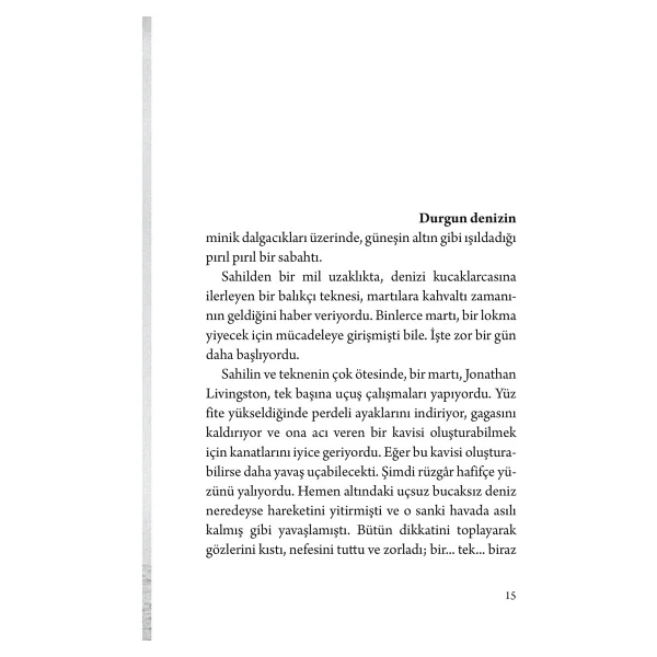 Martı Jonathan Livingston - Richard Bach - Görsel 3