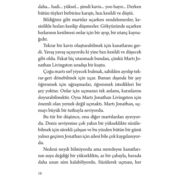 Martı Jonathan Livingston - Richard Bach - Görsel 4