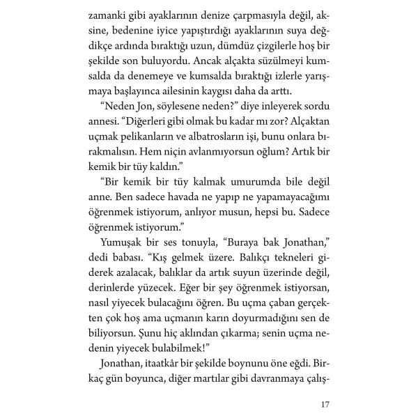 Martı Jonathan Livingston - Richard Bach - Görsel 5
