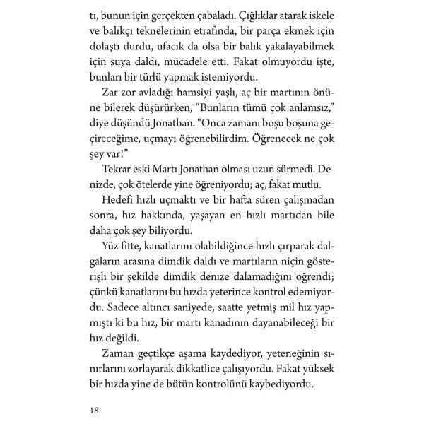 Martı Jonathan Livingston - Richard Bach - Görsel 6