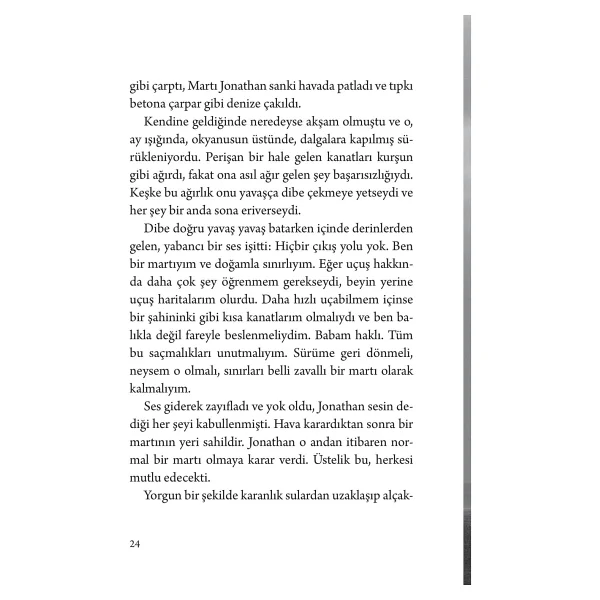 Martı Jonathan Livingston - Richard Bach - Görsel 8