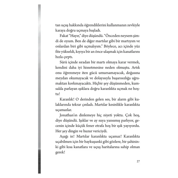 Martı Jonathan Livingston - Richard Bach - Görsel 10