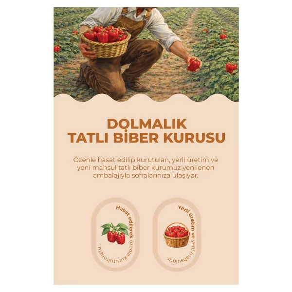 Dolmalık Tatlı Biber Kurusu (23-25 Adet) - Görsel 3