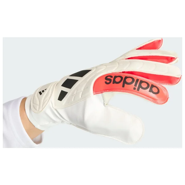 Adidas Copa Glove Club Ka7804 Beyaz Kaleci Eldiveni - Görsel 2