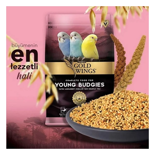 Gold Wings Premium 1 kg Yavru Muhabbet Kuşu Yemi - Görsel 10