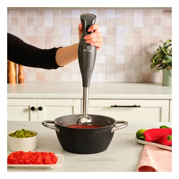 Emsan Profoodmix 1000 W Space Gray Blender Seti - Görsel 2