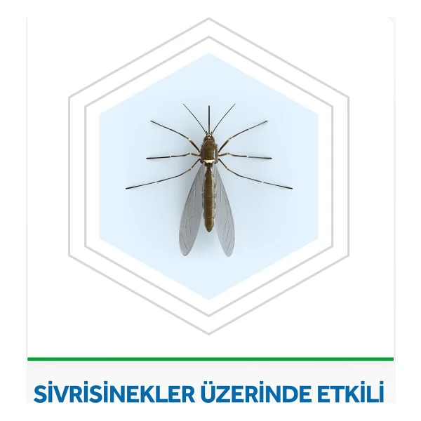 Raid Elektro Mat Kokusuz Tablet 30'lu - Görsel 3