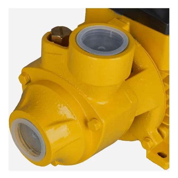Rtrmax Rtm8740 750 W 1 Hp Su Pompası - Görsel 2