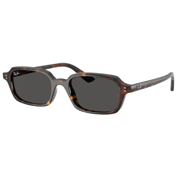 Ray-Ban Zuri 4455 Güneş Gözlüğü - Görsel 2