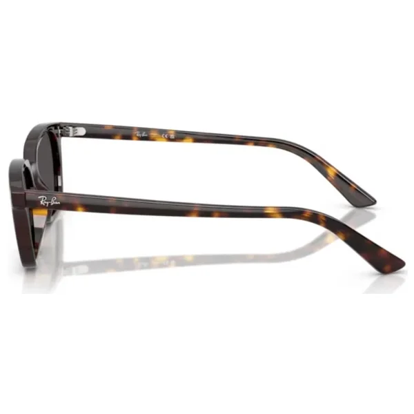 Ray-Ban Zaya 4456 135987 Havana-Dark Grey Güneş Gözlüğü - Görsel 3