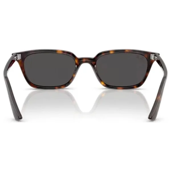Ray-Ban Zaya 4456 135987 Havana-Dark Grey Güneş Gözlüğü - Görsel 4