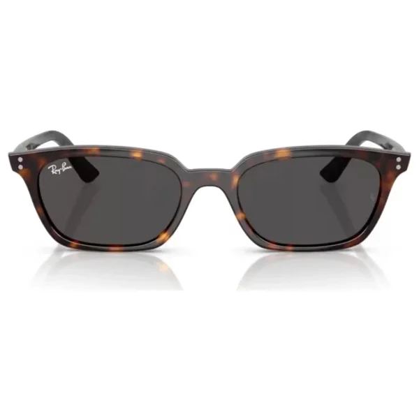 Ray-Ban Zaya 4456 135987 Havana-Dark Grey Güneş Gözlüğü - Görsel 6