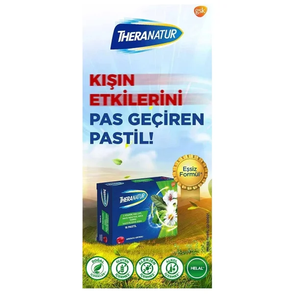 Theranatur Ahududu Aromalı 16'lı Pastil - Görsel 7