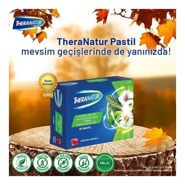 Theranatur Ahududu Aromalı 16'lı Pastil - Görsel 9