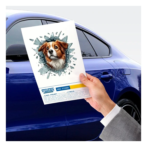 Fulcar Australian Shepherd Araç Stickerı - Görsel 3