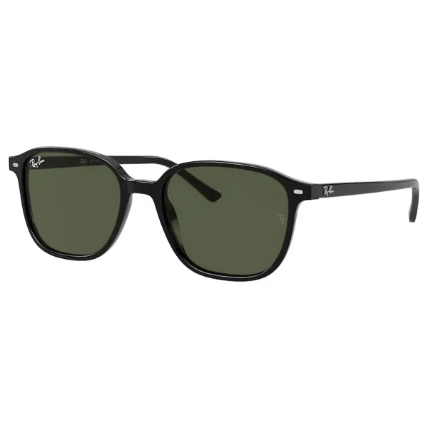 Ray-Ban Leonard 2193 Güneş Gözlüğü - Görsel 9
