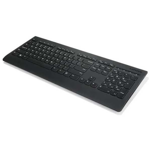 Lenovo Professional 4x30h56827 Kablosuz Klavye Mouse Seti - Görsel 6