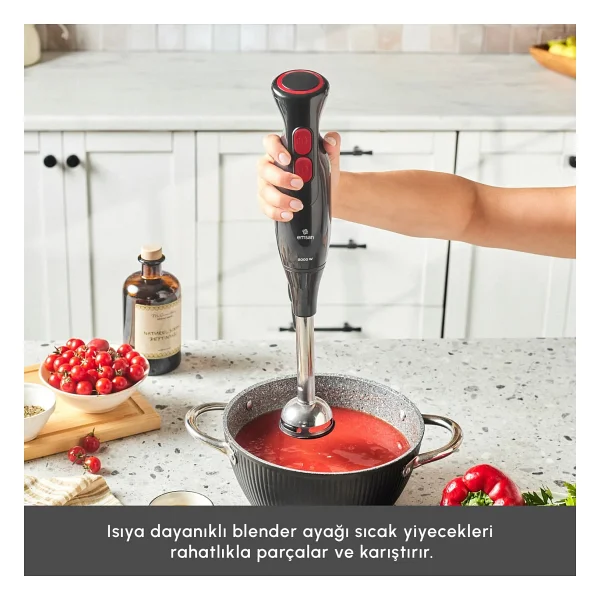 Emsan Pro Multimax 6in1 Black 2000 W Mutfak Robotu - Görsel 10