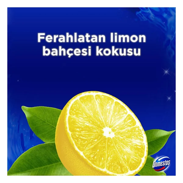 Domestos WC Blok Yoğun Parfümlü Limon Bahçesi 2x50g - Görsel 3