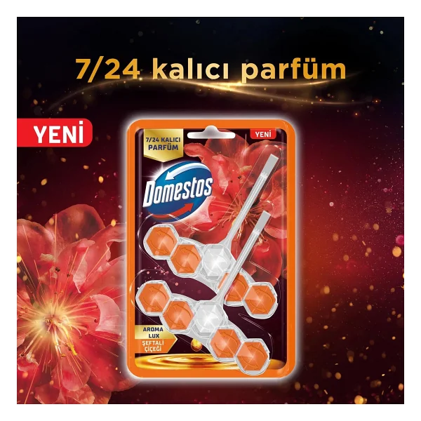 Domestos Aroma Lux Şeftali Çiçeği Tuvalet Bloğu 100 Gr - Görsel 2