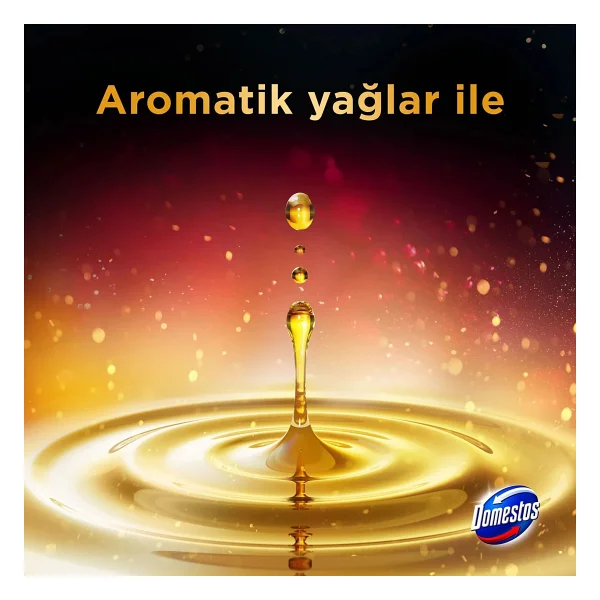Domestos Aroma Lux Şeftali Çiçeği Tuvalet Bloğu 100 Gr - Görsel 3