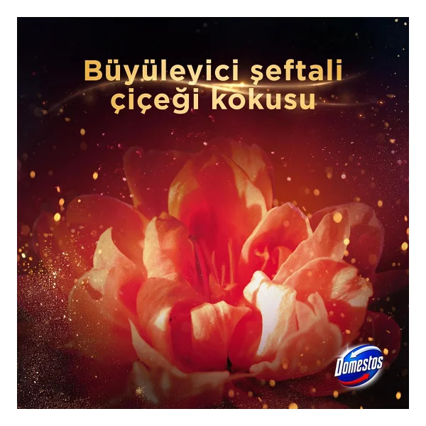 Domestos Aroma Lux Şeftali Çiçeği Tuvalet Bloğu 100 Gr - Görsel 4