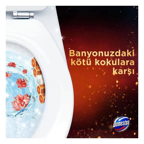 Domestos Aroma Lux Şeftali Çiçeği Tuvalet Bloğu 100 Gr - Görsel 6