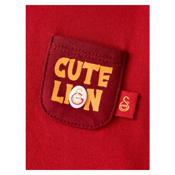 Gs Store B252031 Galatasaray Bebek Sweatshirt - Görsel 5