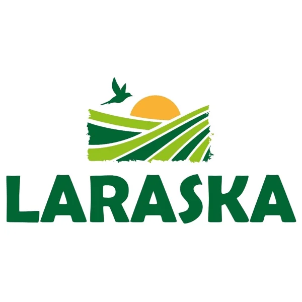 Laraska Tane Zencefil 50 Gr - Görsel 2