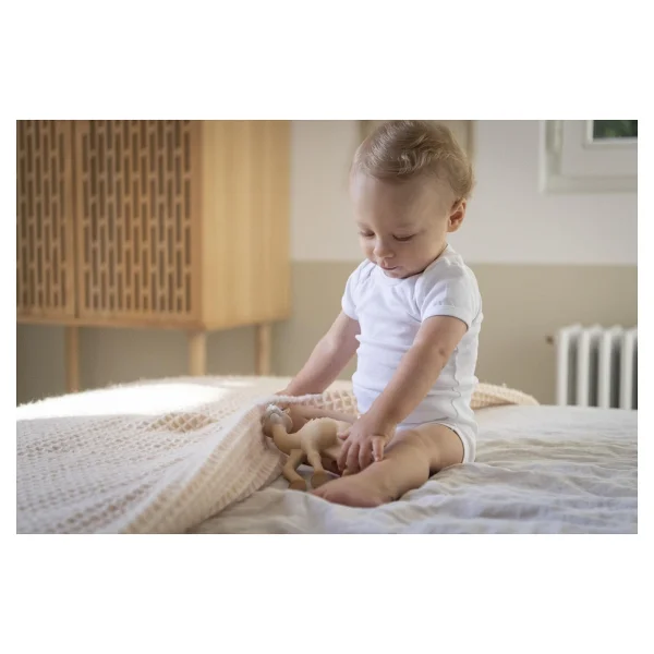 Sophie La Girafe Al'thir Diş Kaşıyıcı - Görsel 7