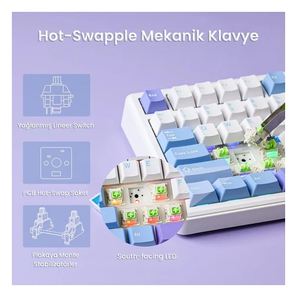 Aula F75 Max Mor RGB %75 Tkl Reaper Switch Kablolu/Kablosuz Mekanik Oyuncu Klavyesi - Görsel 3