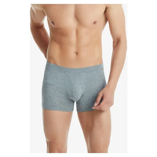 Blackspade Silver 9310 Gri Erkek Boxer - Görsel 3