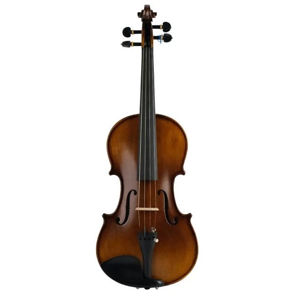 Rösler Rs4a 4/4 Keman - Görsel 6