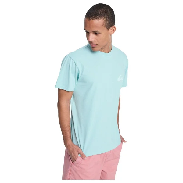 Quiksilver EV Mini Logo EQYZT08181-BGA0 Açık Mavi Kısa Kollu Bisiklet Yaka Erkek Tişört - Görsel 7