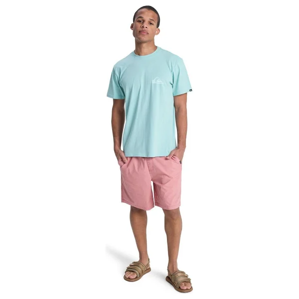 Quiksilver EV Mini Logo EQYZT08181-BGA0 Açık Mavi Kısa Kollu Bisiklet Yaka Erkek Tişört - Görsel 3