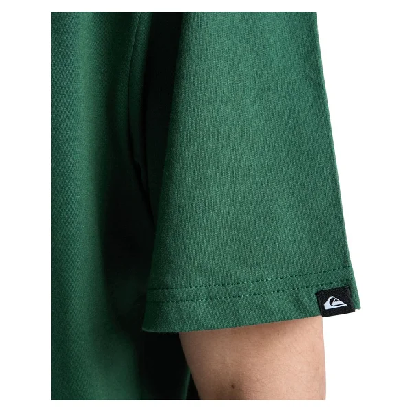Quiksilver Ev Vista Eqyzt08287 Kısa Kollu Bisiklet Yaka Erkek Tişört - Görsel 5
