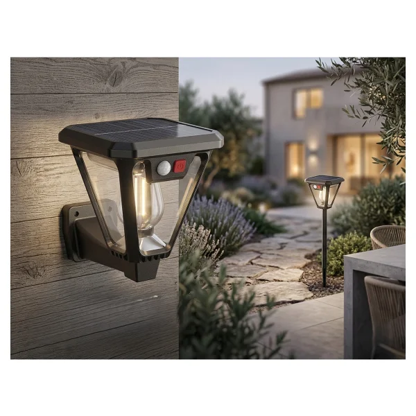 Cata Ct-7318 Sakura 25 W Solar Bahçe Armatürü - Görsel 2