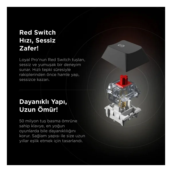 Rampage Loyal Pro Gri-Siyah RGB Red Switch Kablosuz Mekanik Oyuncu Klavyesi - Görsel 6