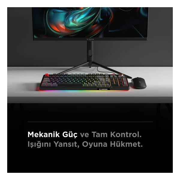 Rampage Loyal Siyah-Gri RGB Red Switch Kablolu Mekanik Oyuncu Klavyesi - Görsel 3