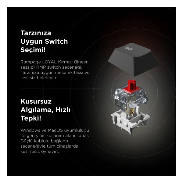 Rampage Loyal Gri-Siyah RGB Red Switch Kablolu Mekanik Oyuncu Klavyesi - Görsel 3