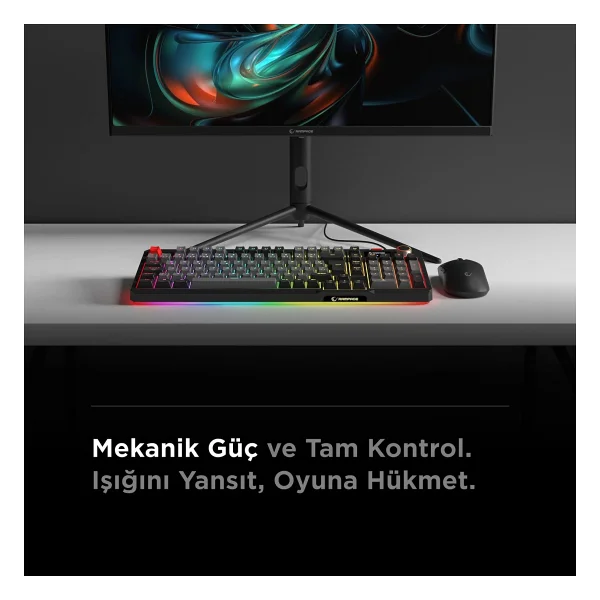 Rampage Loyal Gri-Siyah RGB Red Switch Kablolu Mekanik Oyuncu Klavyesi - Görsel 7