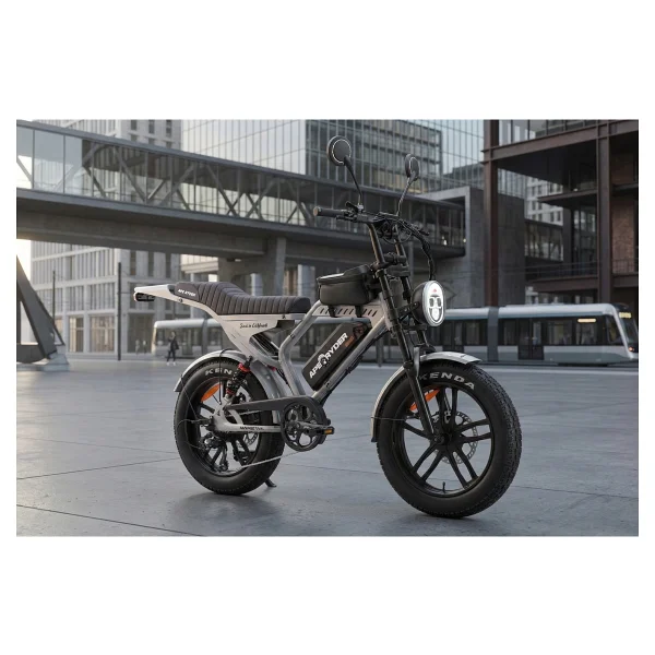 Ape Ryder Mandrill 1000 W Gri Elektrikli Bisiklet - Görsel 3