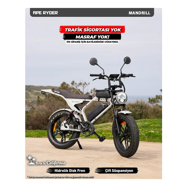 Ape Ryder Mandrill 1000 W Gri Elektrikli Bisiklet - Görsel 6