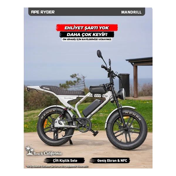 Ape Ryder Mandrill 1000 W Gri Elektrikli Bisiklet - Görsel 7
