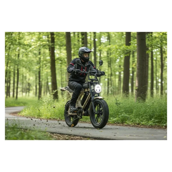 Ape Ryder Mandrill 1000 W Sarı Elektrikli Bisiklet - Görsel 4