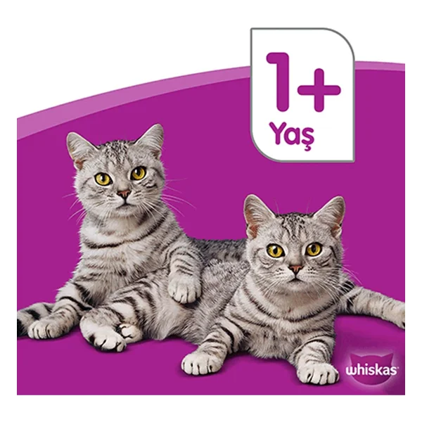 Whiskas Tavuklu Ve Sebzeli 300 Gr Yetişkin Kuru Kedi Maması - Görsel 4