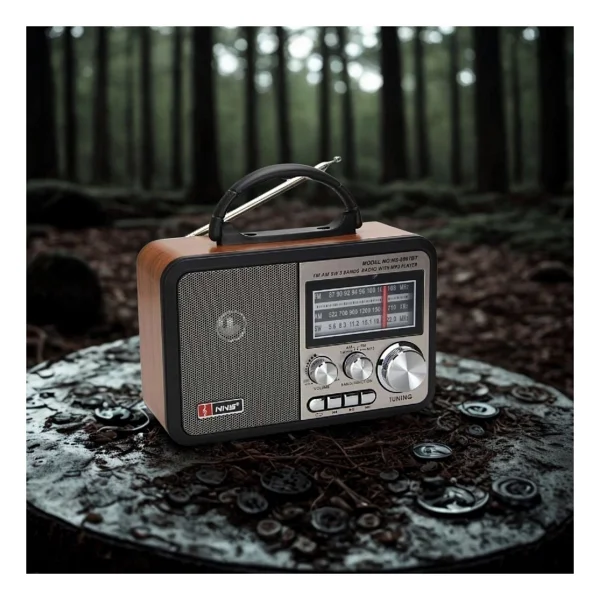 Nns Ns-8897 Nostaljik Radyo - Görsel 3