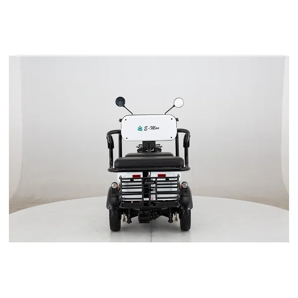 E-Mon Mona 1300 W 3 Tekerlekli Elektrikli Motosiklet - Görsel 3