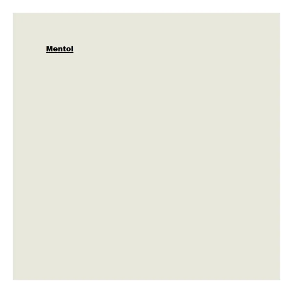 Marshall Sil-Pak Silikonlu 15 Lt İç Cephe Boyası - Mentol Buğusu - Görsel 2
